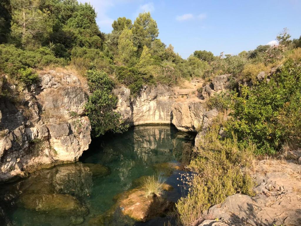 Paisaje cerca de este apartamento