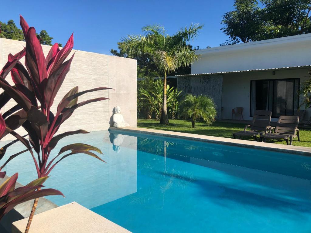Bazén v ubytování Seahorse Resort Tamarindo nebo v jeho okolí