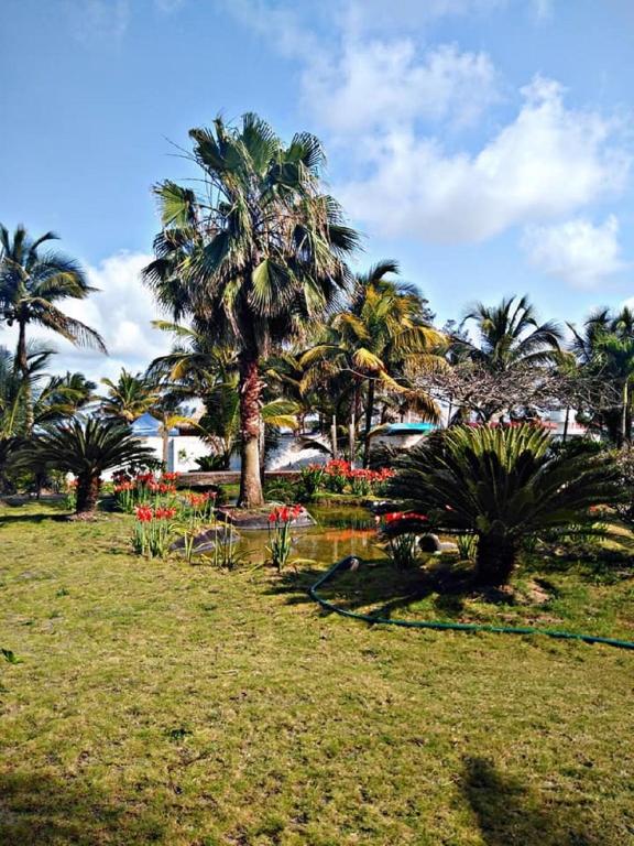 Zahrada ubytování Hotel El Doral