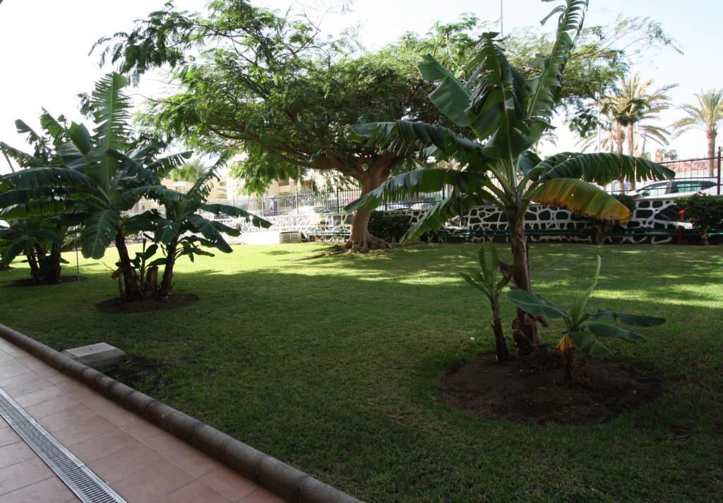 Fotografia z galérie ubytovania Fantastic apartment with sea views v Playa del Ingles