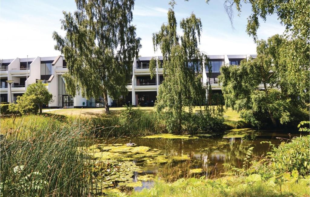 ヘルシンゲルにあるStunning Apartment In Helsingr With Wifiの池のあるアパートメントビル