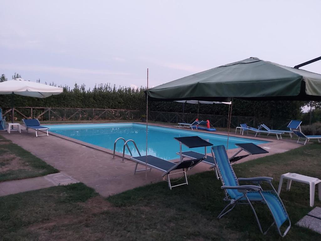einen Pool mit Stühlen, einem Tisch und einem Sonnenschirm in der Unterkunft Agriturismo Il Morello in Acquapendente