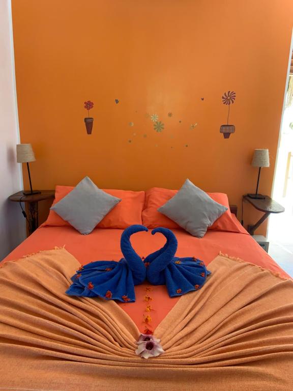  Pousada Janela da Cor