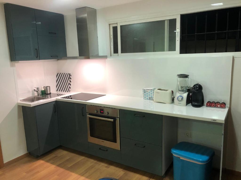 Kuchyň nebo kuchyňský kout v ubytování Ílios Soho Apartamentos