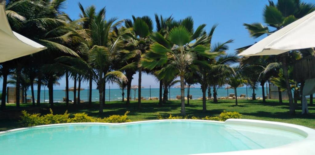 a swimming pool next to a beach with palm trees at Entre Palmeras in Bocapán