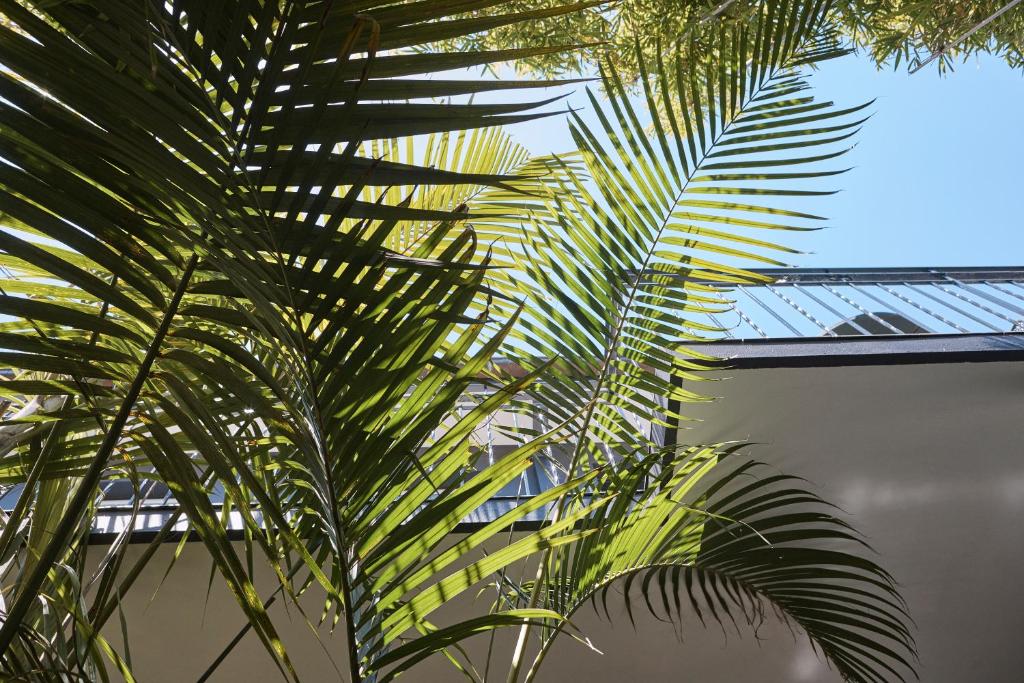 Ballantyne at Mosman Apartments - Resim 31