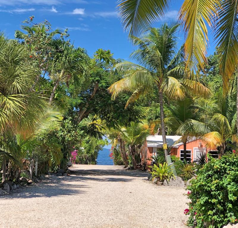 una playa con palmeras y una casa en The Pelican Key Largo Cottages en Cayo Largo