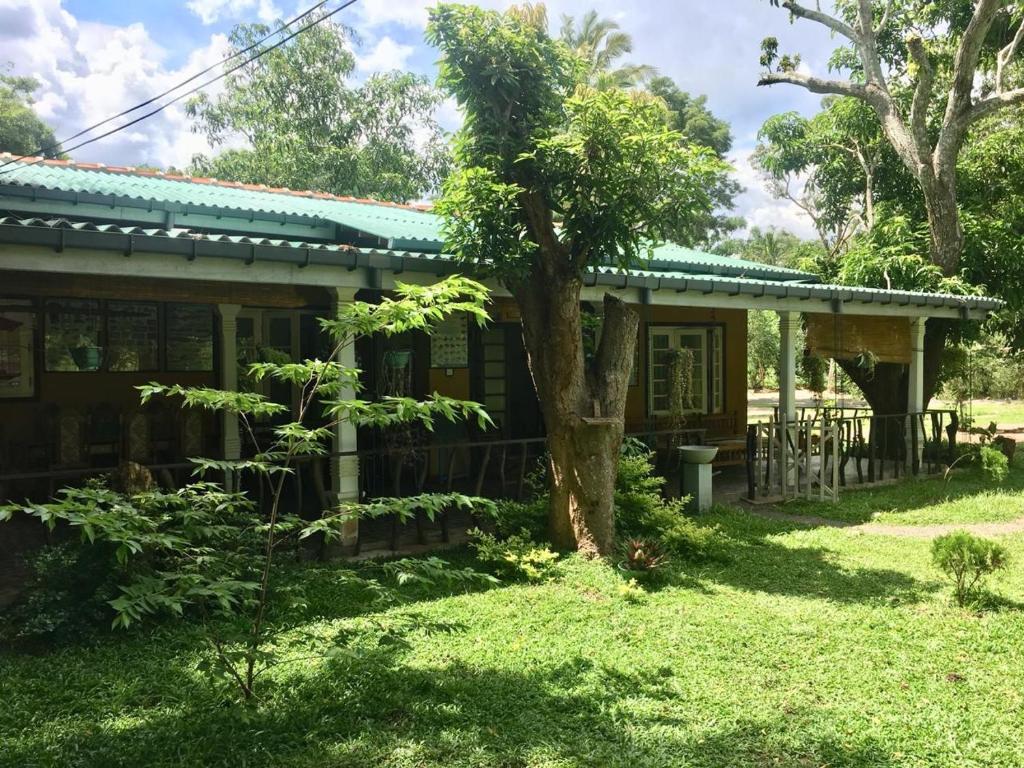 Zahrada ubytování TEMBO Cottage Wilpattu