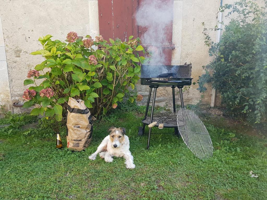 Foto sihtkohas Osse-en-Aspe asuva majutusasutuse Gite Chaneü galeriist