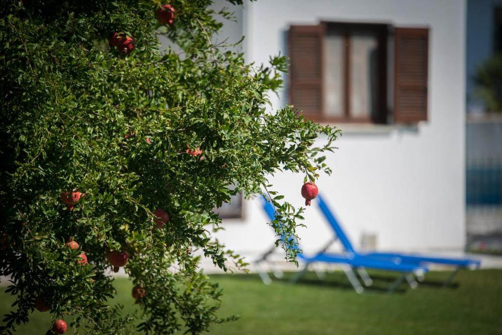 Vonkajšia záhrada v ubytovaní Molino Villa