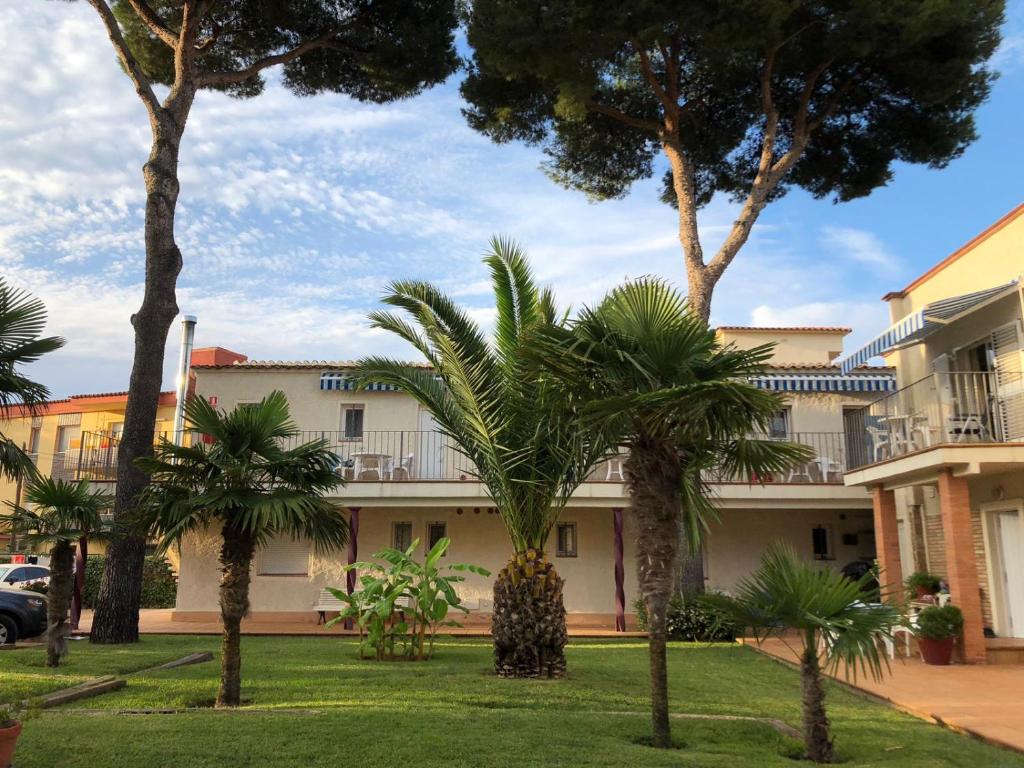 un grupo de palmeras frente a un edificio en Apartaments Ocean Canada, en Platja d'Aro