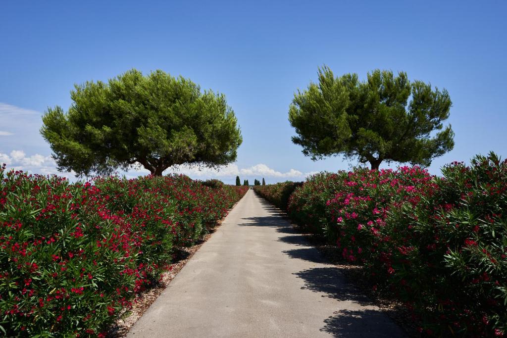 Zahrada ubytování Masseria Bagnara Resort & Spa