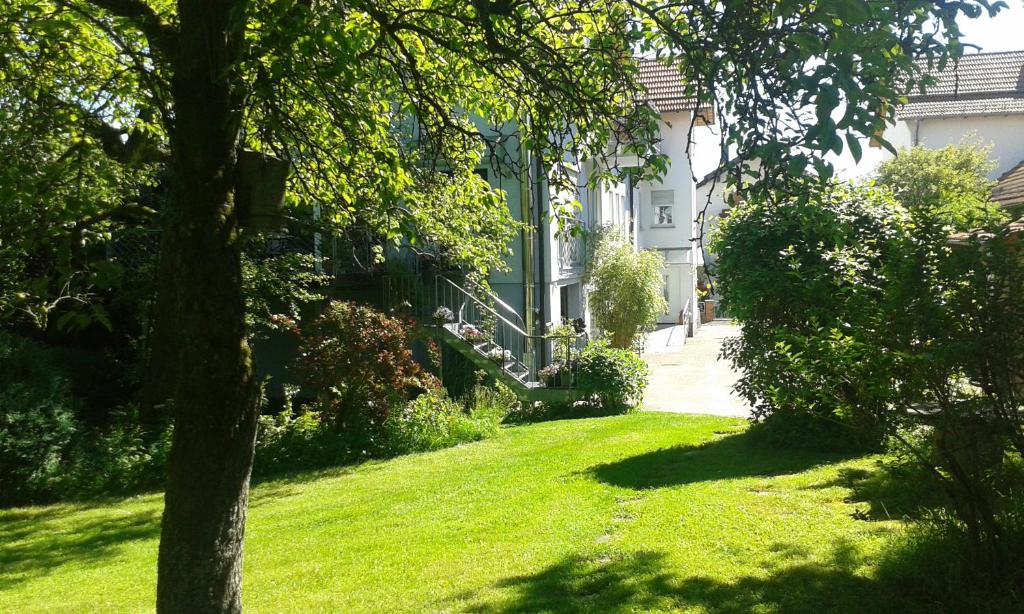 una casa con un patio verde con un árbol en Ferienwohnung Christiane - nagelneue, moderne Ferienwohnung mit Blick ins Grüne, en Ober-Abtsteinach