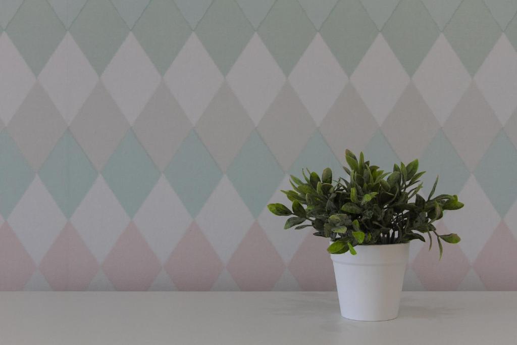 Varandas do Nabão - 11