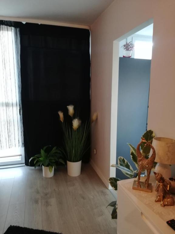 Kawalerka - Jelenia Gora, dziel. Zabobrze - 9