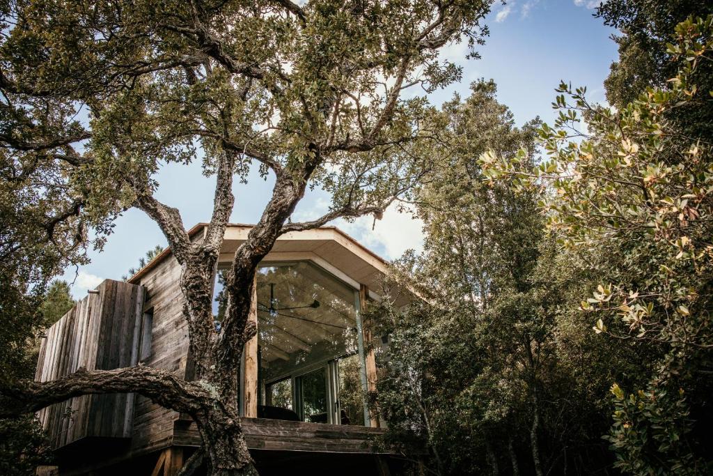 Zahrada ubytování Domaine de Casanghjulina