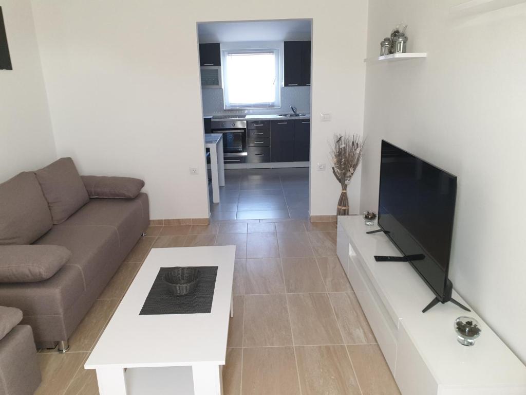 TV a/nebo společenská místnost v ubytování Apartmani Ivan