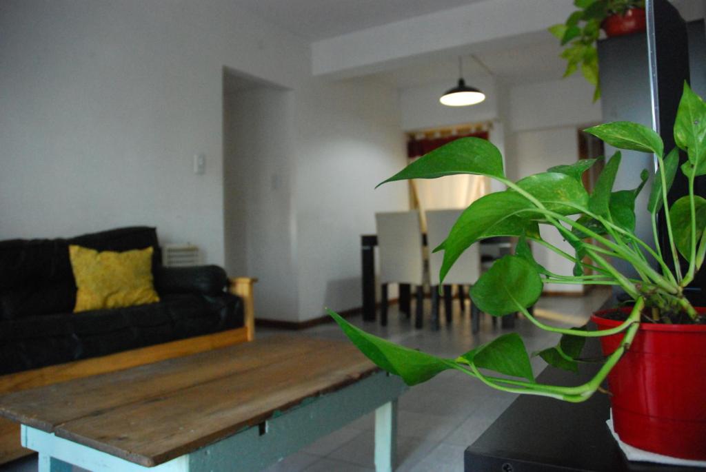 a living room with a coffee table and a plant at Monte - Departamento en Centro de Monte Grande 3 ambientes in Monte Grande