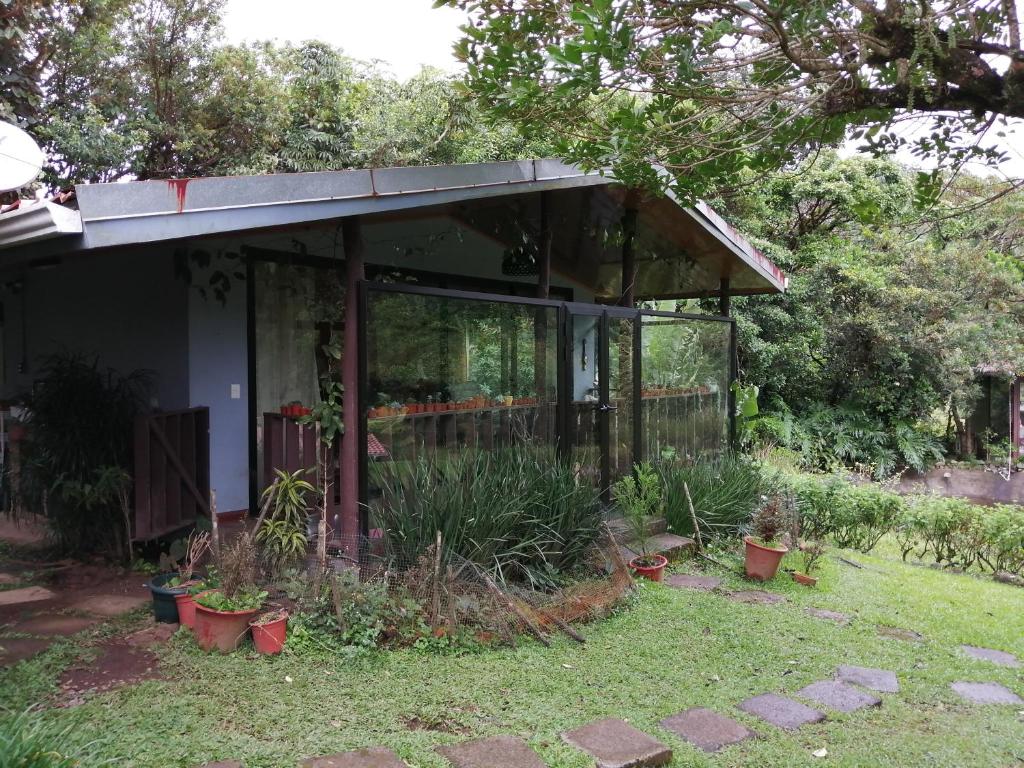 una casa con piante in vasi nel cortile di Suite y Loft Casa Toría a San Isidro