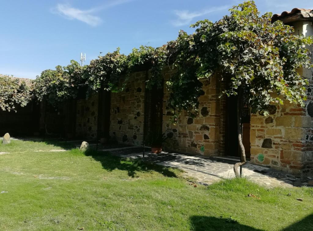 Zahrada ubytování Il giardino di Don Peppino