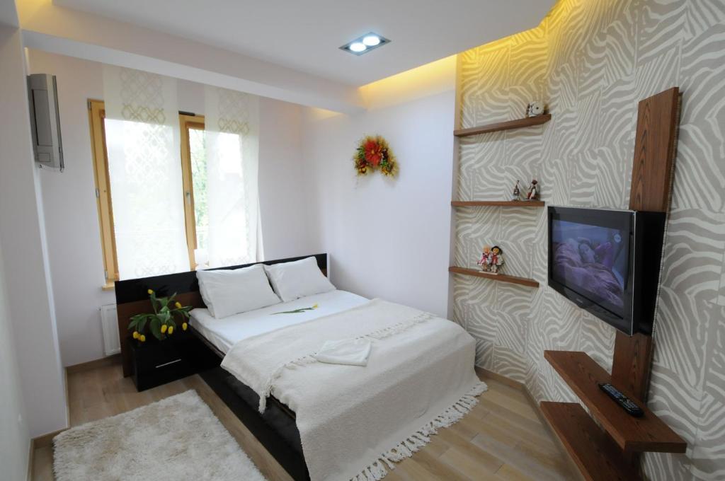 ザコパネにあるApartament Silver Zakopaneのベッドルーム(ベッド1台、薄型テレビ付)