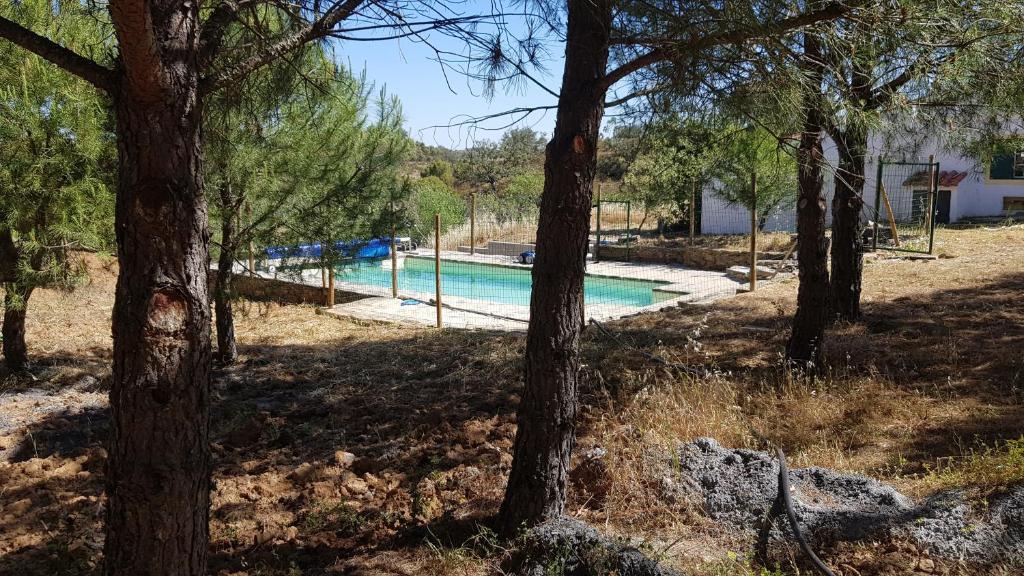 - une piscine dans une cour arborée dans l'établissement Monte Das Ferrarias, 