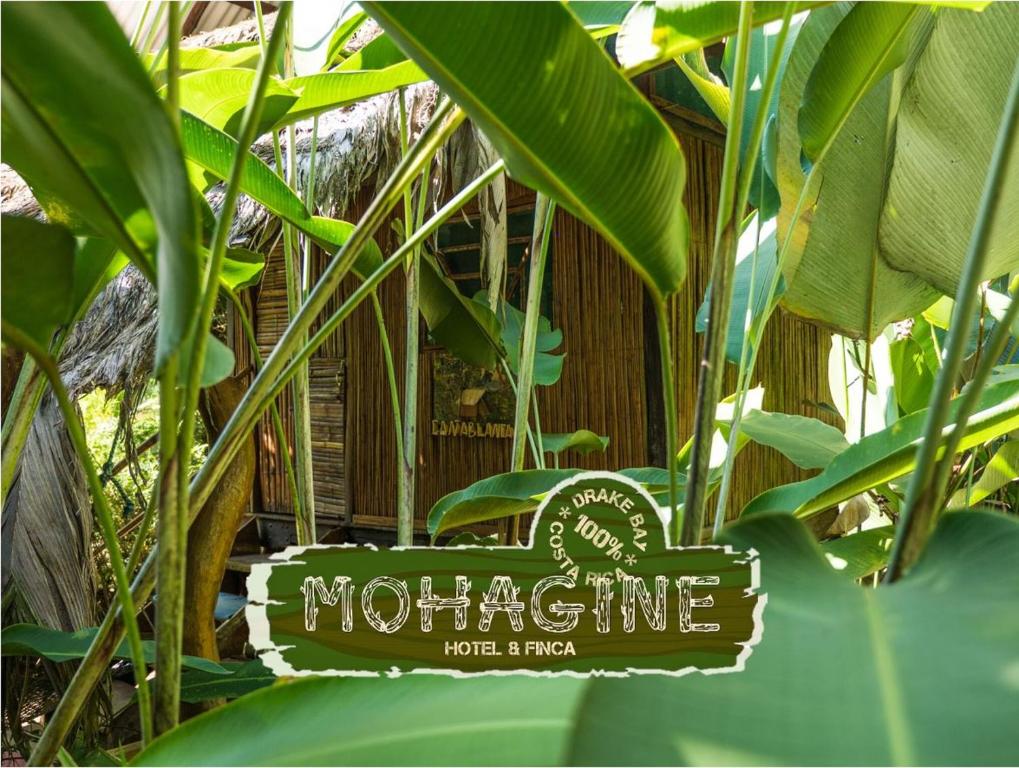 znak w środku niektórych roślin w obiekcie Mohagine Hotel w mieście Bahía Drake