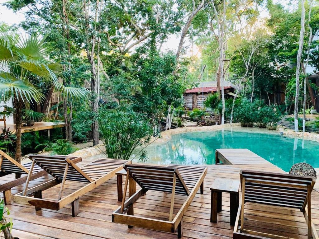 Bazén v ubytování Nahouse Jungle Lodges nebo v jeho okolí