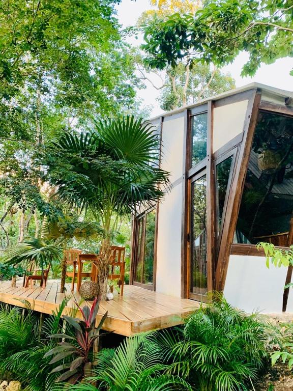 Zahrada ubytování Nahouse Jungle Lodges