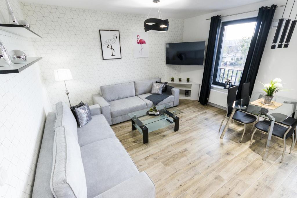 New BIG Apartment OLD TOWN 3 Rooms Parking Viewpoint (Polen