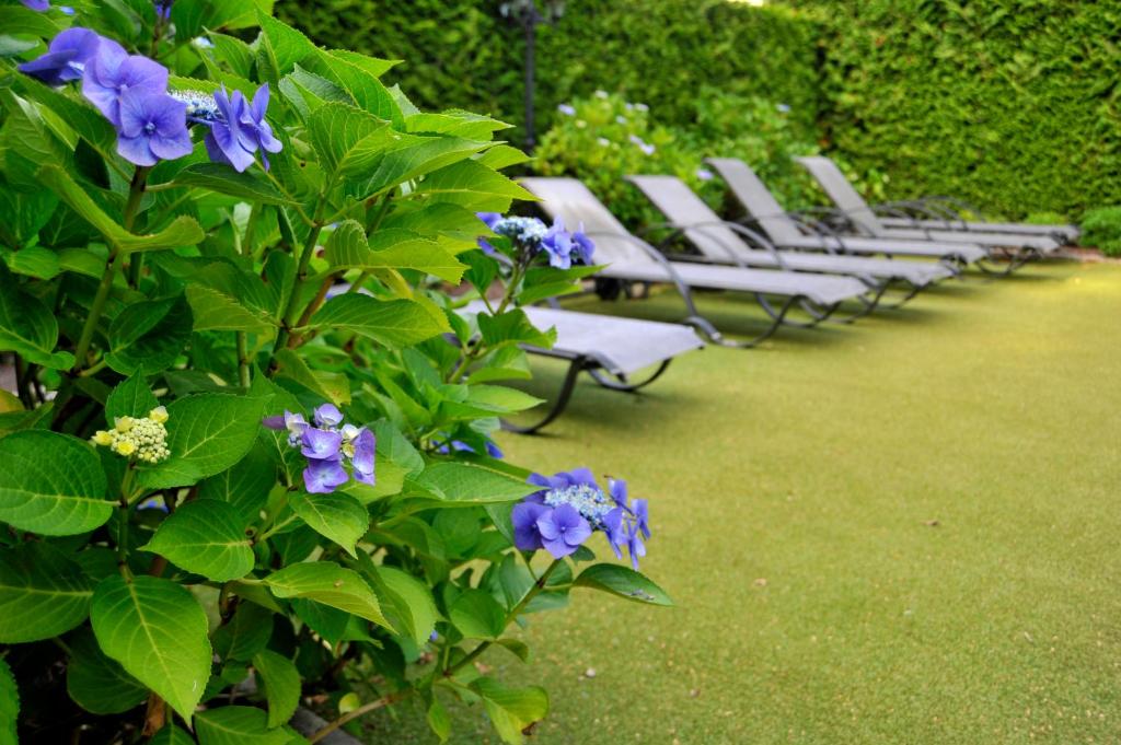Zahrada ubytování Parkhotel Tjaarda