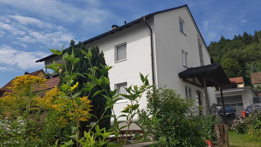 ein weißes Haus mit Pflanzen davor in der Unterkunft Ferienwohnung Schwarz in Gasseldorf