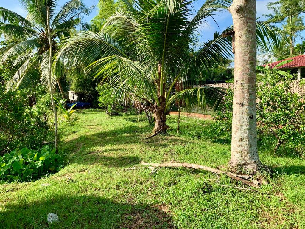 MEKONG DANIEL HOMESTAY CAN THO - 6