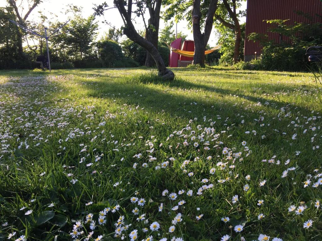 Zahrada ubytování B & B Langagergaard