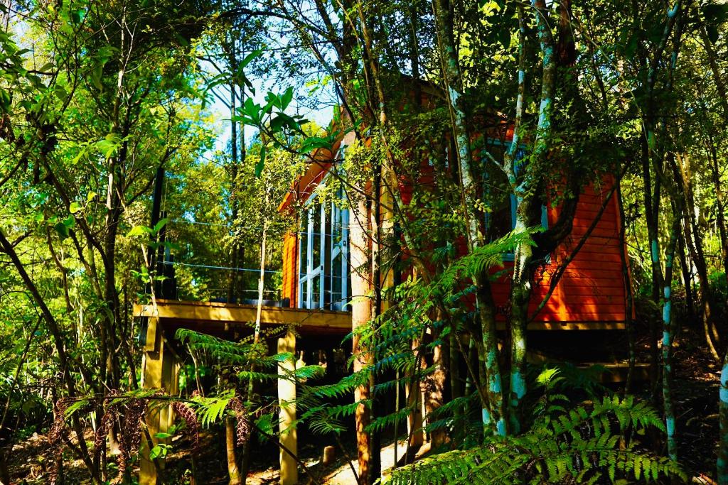 a tree house in the middle of the forest at Fantail Bush Chalet in Parakakau