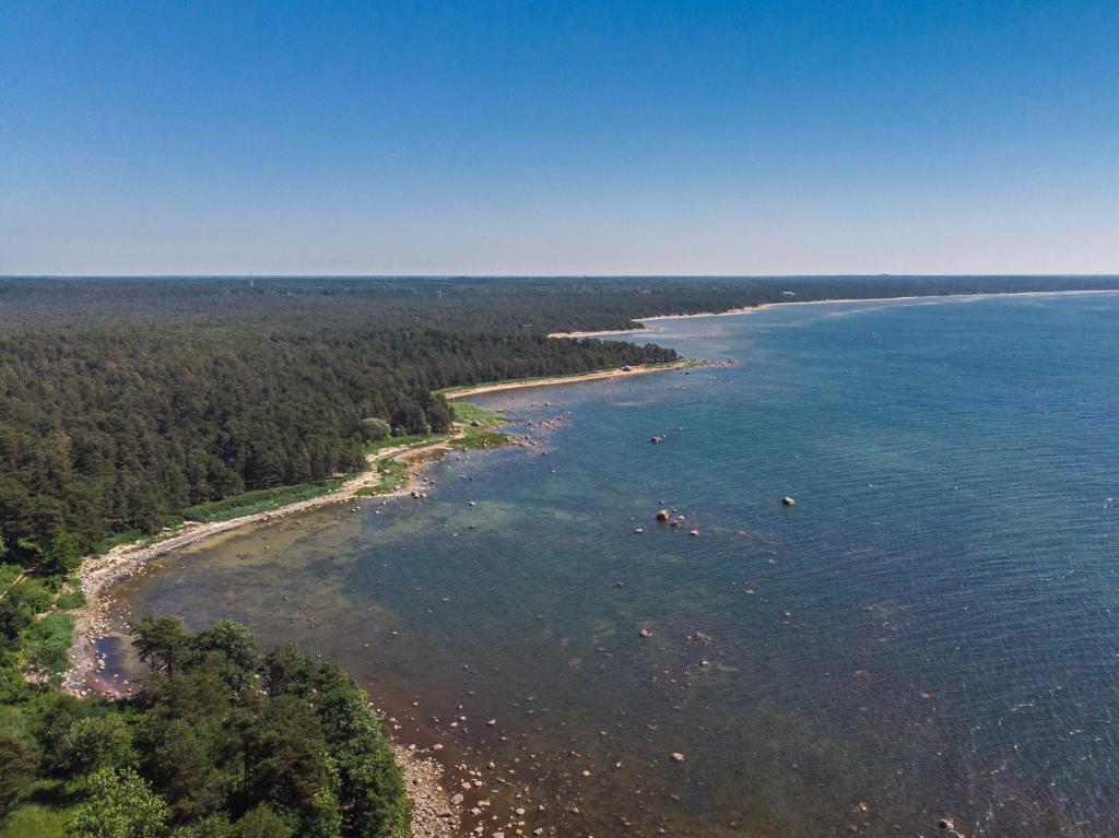 an aerial view of a beach with trees and water at Taimela Holiday Home with Sauna in Lohusalu