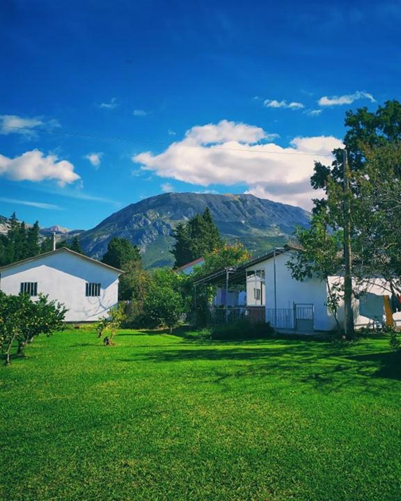 un grupo de edificios en un campo con una montaña en Apartman Zorana, en Bar