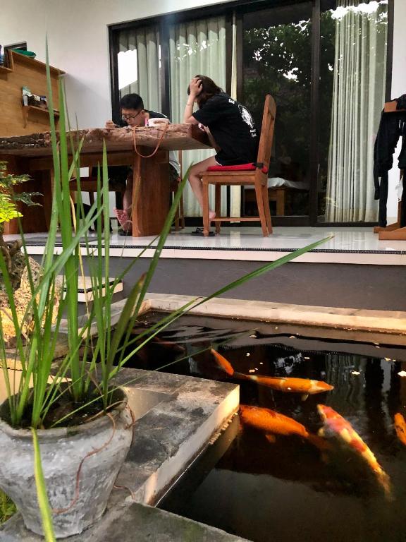 Fotografie z fotogalerie ubytování The Hidden Bali Inn v Ubudu