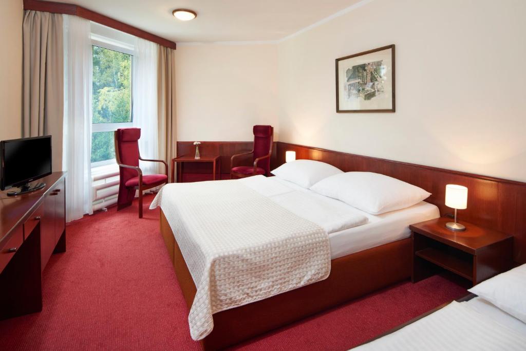 Wellness Hotel Svornost - 经济双人或双床间 - 可使用游泳池