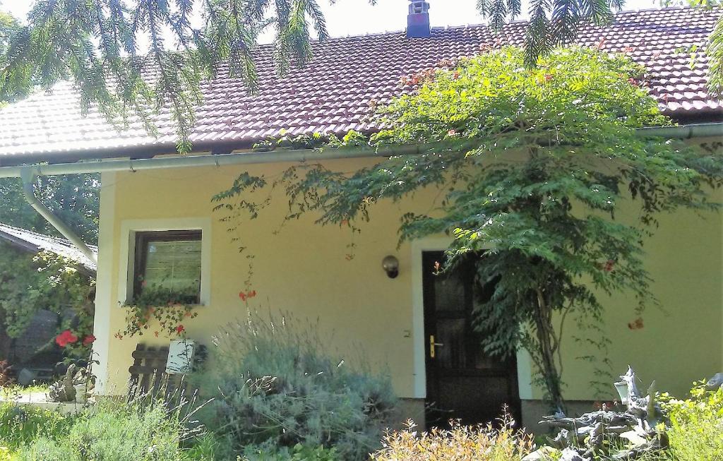 Zahrada ubytování CELINKA rooms