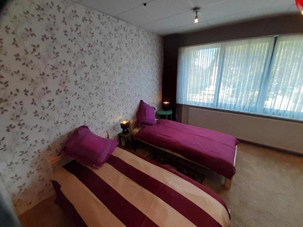 Zimmer mit 2 Betten mit lila Bettwäsche und einem Fenster in der Unterkunft casa di Claudia in Antwerpen
