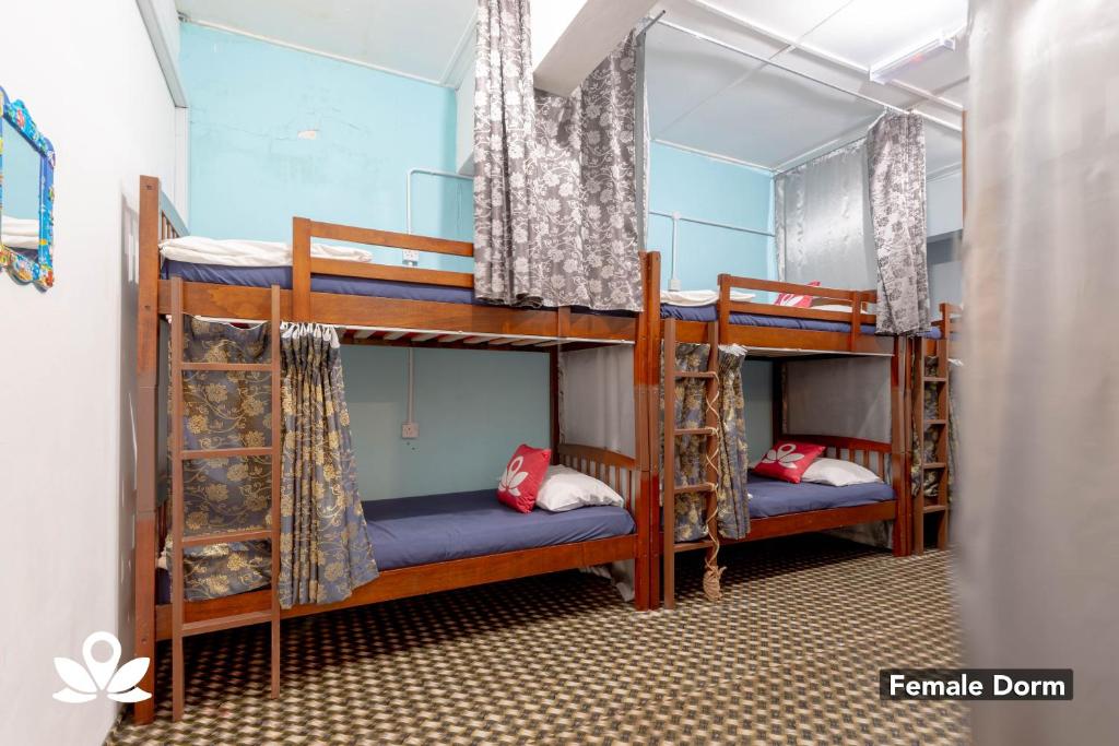 Postel nebo postele na pokoji v ubytování Island Backpackers