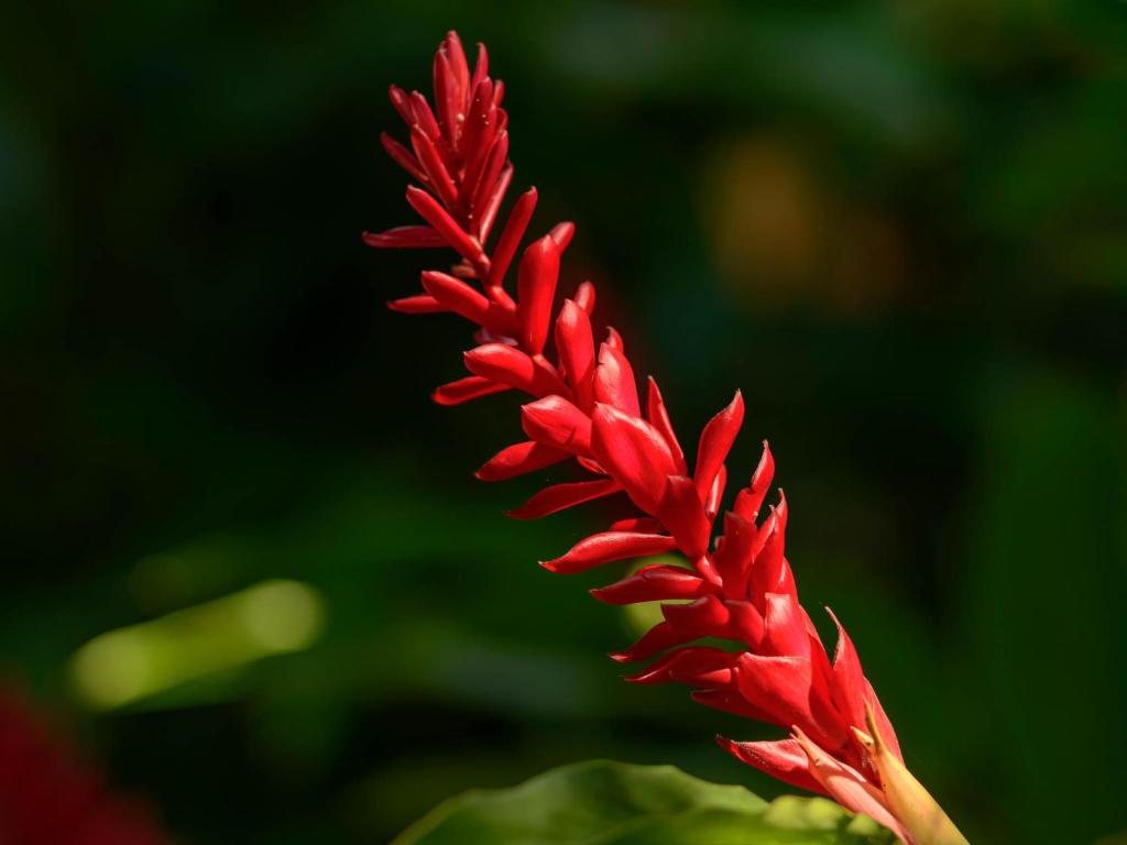  Pousada Ecoilha