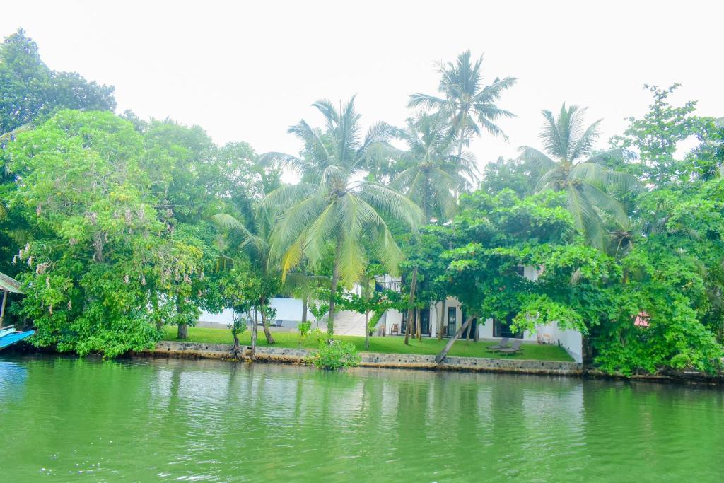 a house on the side of a river with palm trees at The Green Lagoon Villa in Hikkaduwa