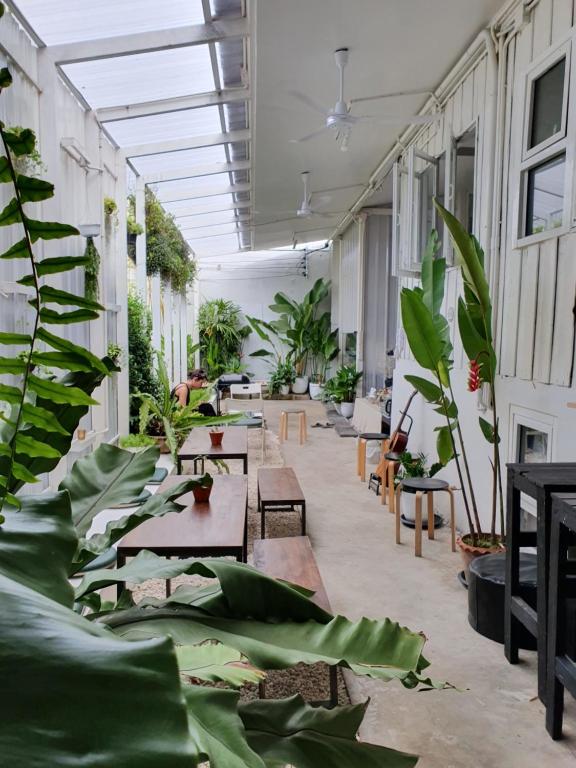 Fotografie z fotogalerie ubytování The PARK Society v destinaci Chiang Mai
