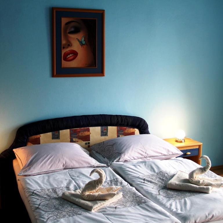 Hotel City center one star