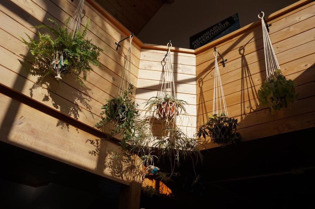Giardino di Peppertree Lodge