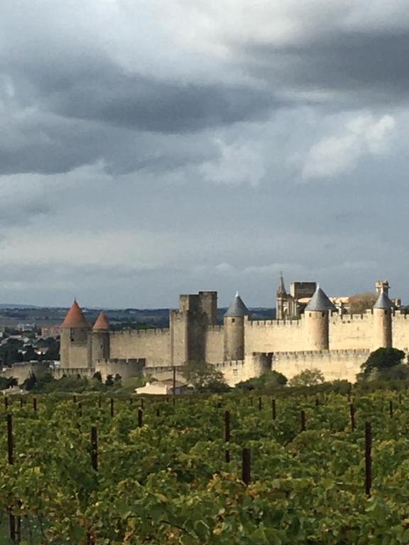 un gran castillo en un campo de uvas en Les Orchidées en Carcasona