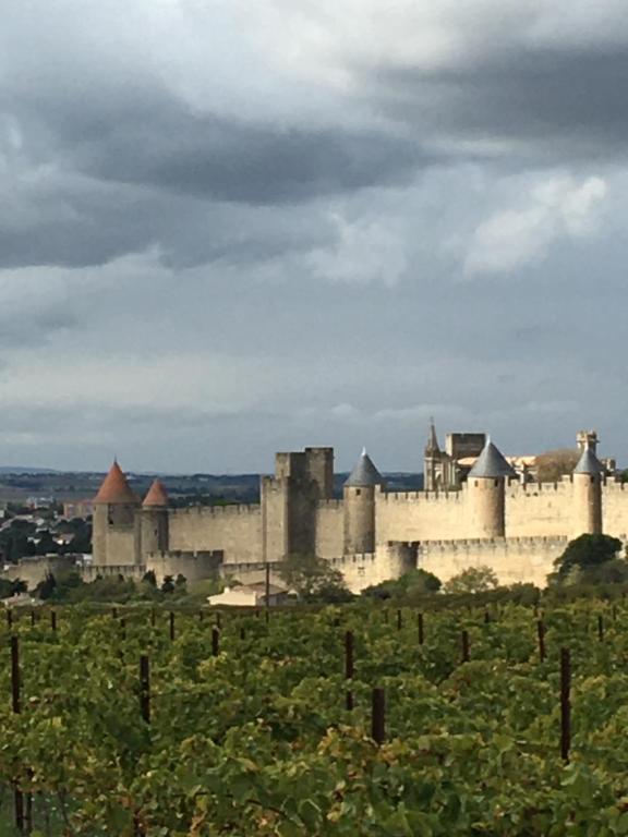 Fotografie z fotogalerie ubytování Les Orchidées v Carcassonne