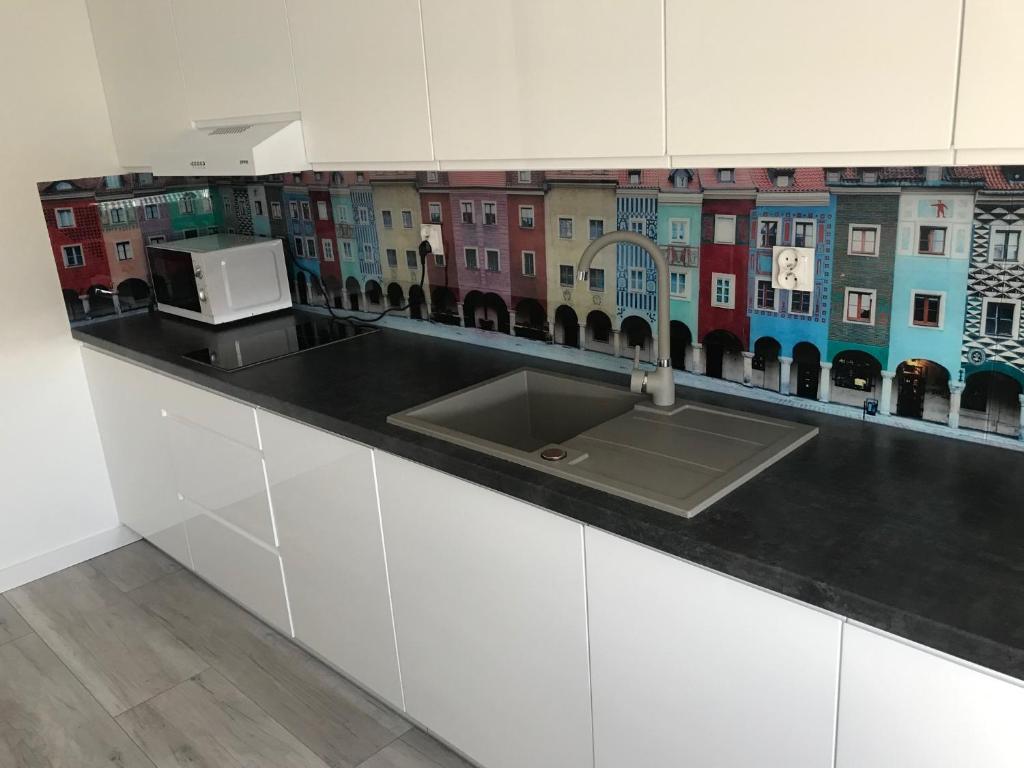 Kuchyň nebo kuchyňský kout v ubytování Apartament Malta Supreme